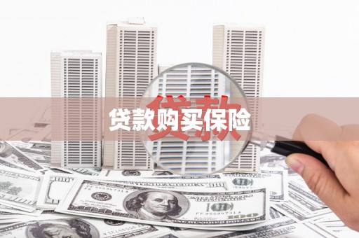 赫山贷款购买保险