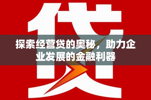 庆元探索经营贷的奥秘，助力企业发展的金融利器