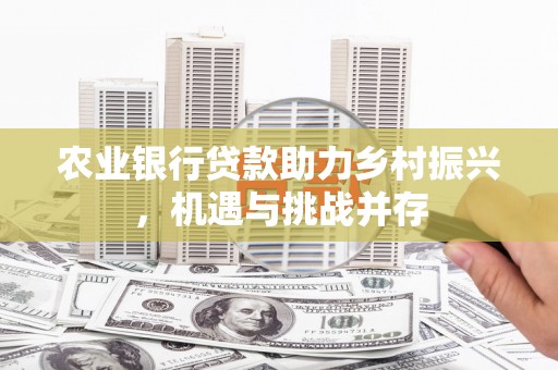 阳东农业银行贷款助力乡村振兴，机遇与挑战并存