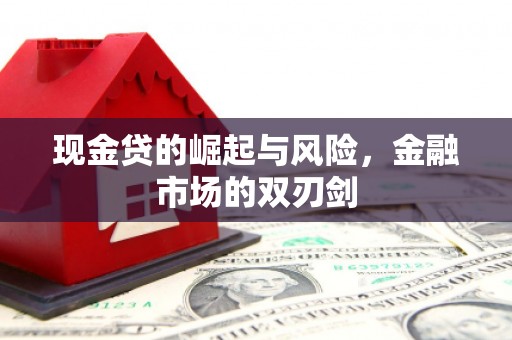 神湾现金贷的崛起与风险，金融市场的双刃剑