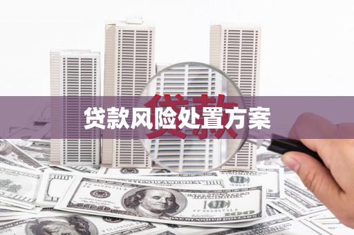 略阳贷款风险处置方案