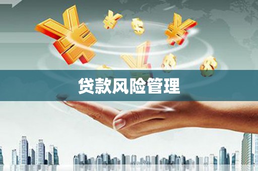 缙云贷款风险管理