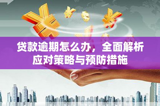 新屋贷款逾期怎么办，全面解析应对策略与预防措施
