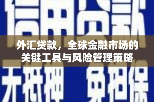 崁顶外汇贷款，全球金融市场的关键工具与风险管理策略