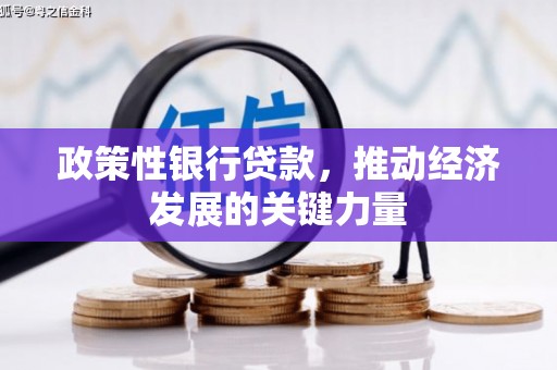沽源政策性银行贷款，推动经济发展的关键力量
