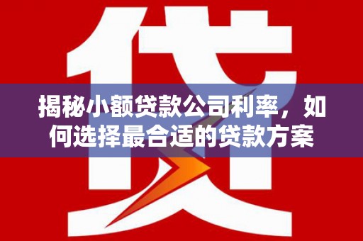 唐县揭秘小额贷款公司利率，如何选择最合适的贷款方案