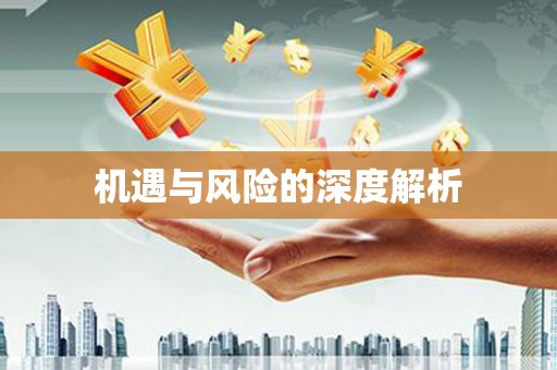 桐城机遇与风险的深度解析