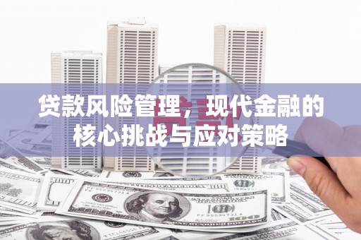 凤泉贷款风险管理，现代金融的核心挑战与应对策略