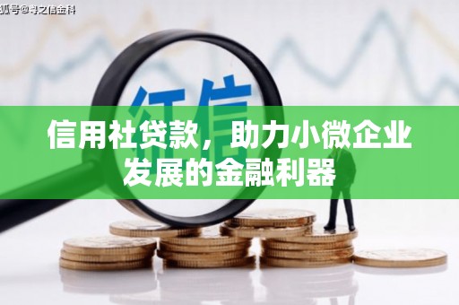 隆安信用社贷款，助力小微企业发展的金融利器