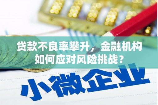 万里贷款不良率攀升，金融机构如何应对风险挑战？