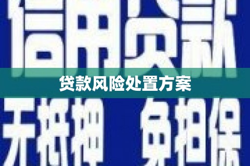 青阳贷款风险处置方案