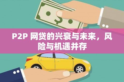 武隆P2P 网贷的兴衰与未来，风险与机遇并存
