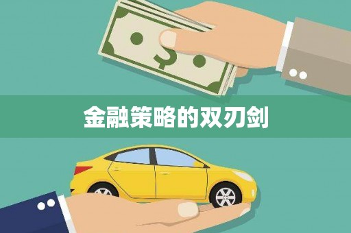 镇安金融策略的双刃剑