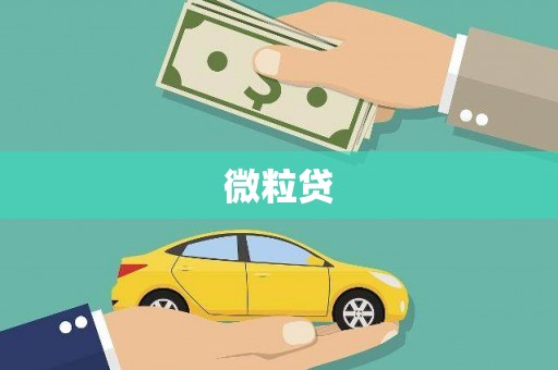 后壁微粒贷