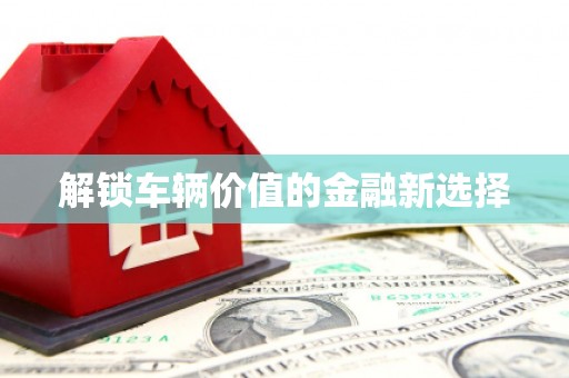 洪雅解锁车辆价值的金融新选择