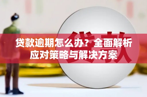 民丰贷款逾期怎么办？全面解析应对策略与解决方案