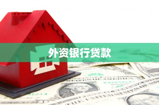 陆丰外资银行贷款