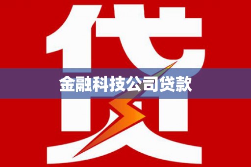 额敏金融科技公司贷款