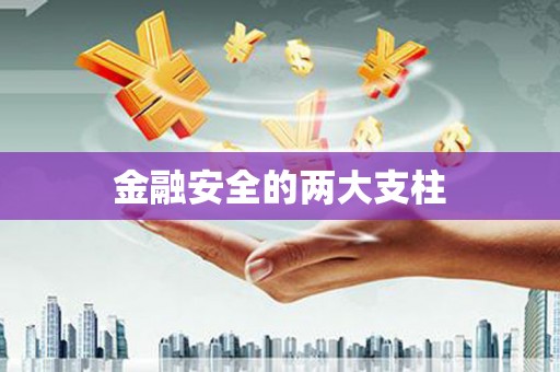 三角金融安全的两大支柱