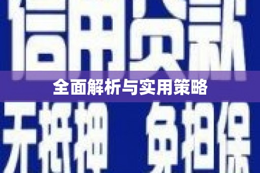 中西全面解析与实用策略