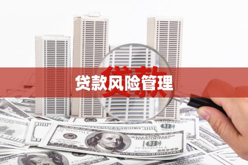 阿巴嘎旗贷款风险管理