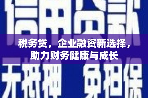 玄武税务贷，企业融资新选择，助力财务健康与成长