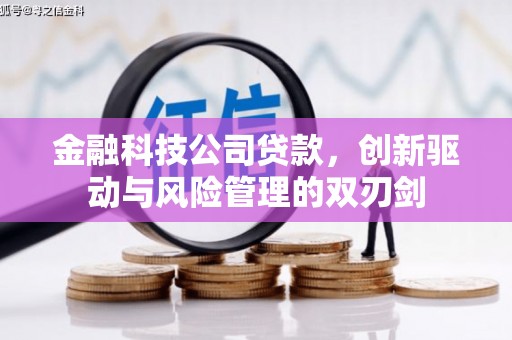 隆昌金融科技公司贷款，创新驱动与风险管理的双刃剑